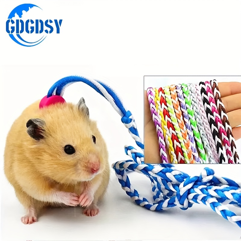 GDGDSY set najlonskog povodca i prsluka za male ljubimce – podesiv 1,2 m, sigurna kopča
