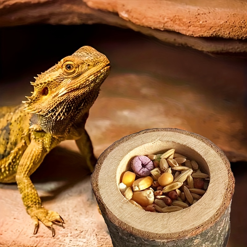Ručna drvena činija za hranu i vodu — hranilica za reptile, glodare i insekte